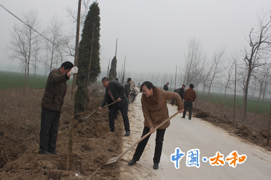 皮条孙镇掀起植树绿化新高潮-太和县政府信息公开
