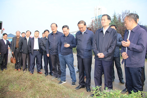 阜阳市委副书记,市长孙正东,副市长张肖,阜南县委书记崔黎,县委副书记