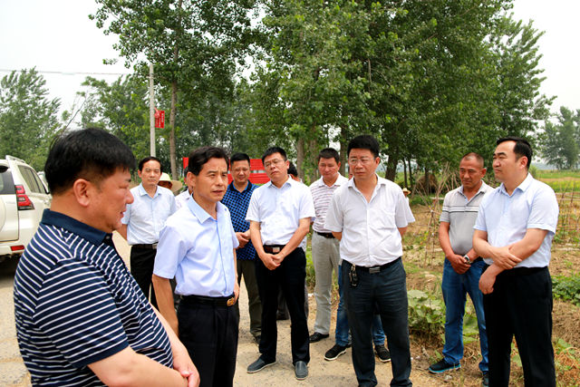 窦灿辉到部分乡镇检查指导美丽庄台建设工作 -颍上县