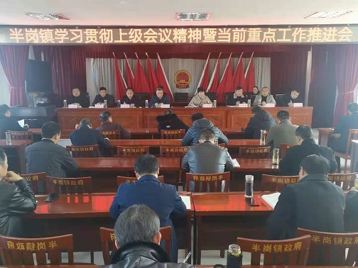 颍上县半岗镇召开学习贯彻上级会议精神暨当前重点工作推进会