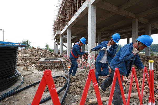 6月15日,颍上供电公司输变电施工人员正在颍上县何庄泵站敷设电缆