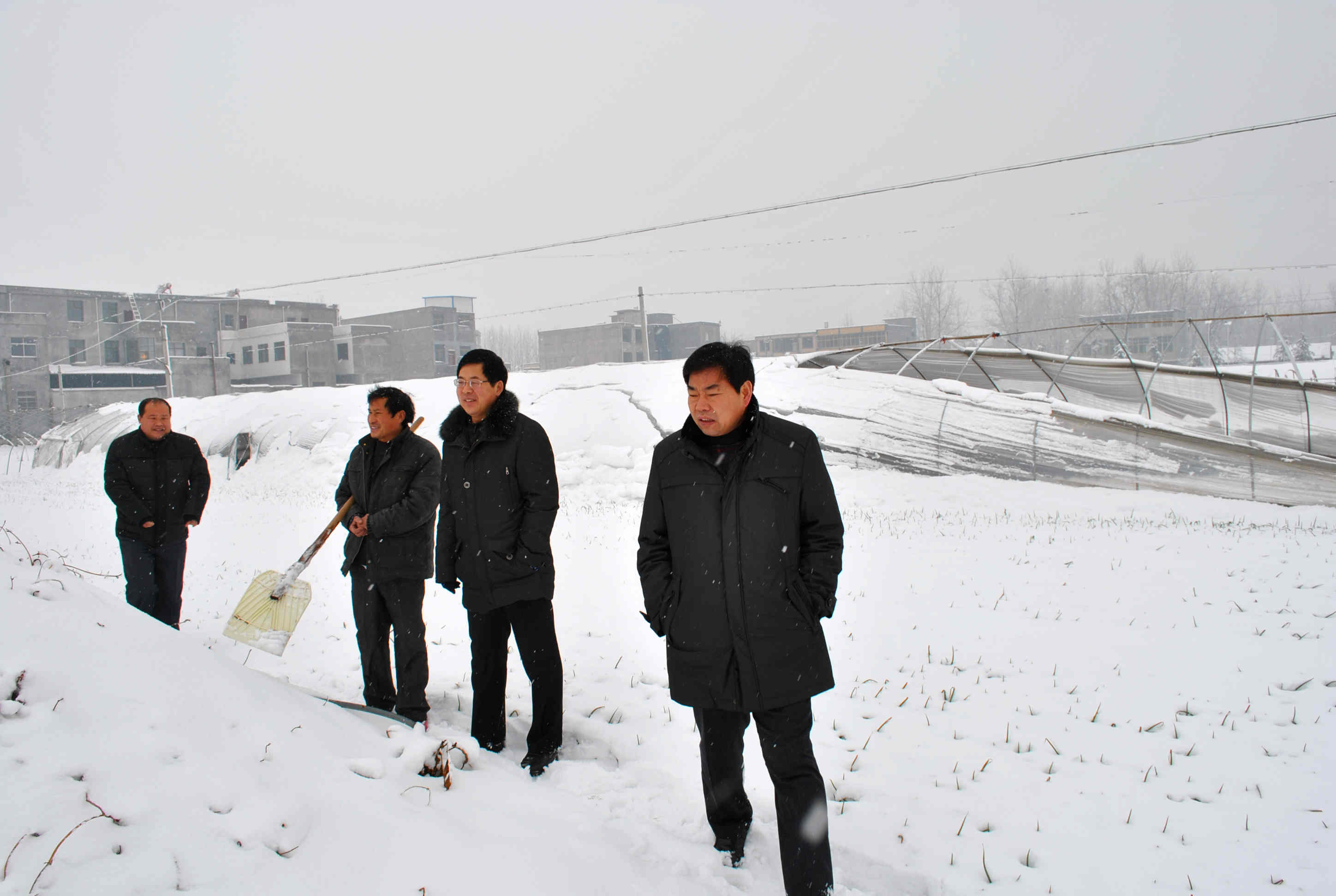 瓦店镇积极做好冰雪天气走访慰问活动-临泉县政府信息