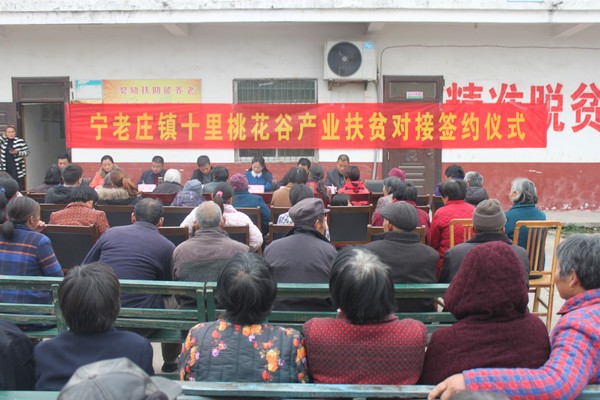 宁老庄镇举行十里桃花谷产业扶贫对接签约仪式