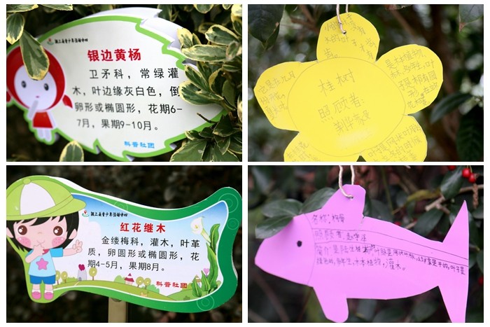 颍上县青少年活动中心开展植物挂牌活动